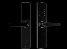 青松沃德-Wi-Fi 指紋鎖家用防盜門智能門鎖密碼鎖刷卡電子鎖 防磁干擾 防撬 L9-WT (不含鎖體，鎖體需另購(gòu)）